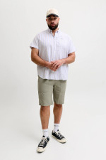 Шорти JPSTJAIDEN Jack&Jones бежеві великого розміру