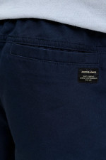 Шорти JPSTJAIDEN Jack&Jones великого розміру, темно-сині