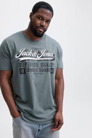 Футболка Standard Fit з принтом Jack&Jones - сіра